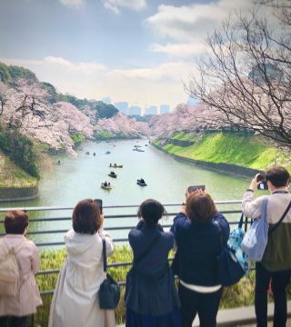 「東京まち歩き」さんからの投稿写真＠靖国神社