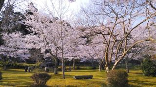 「S．Y」さんからの投稿写真＠板列公園