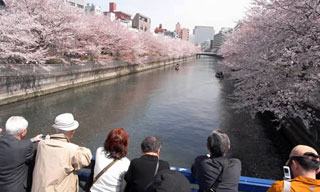 お江戸深川さくらまつりの写真３