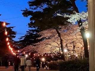 千秋公園の写真３